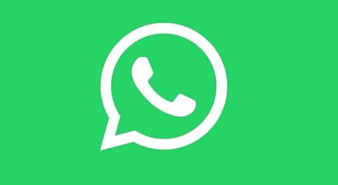 How-to-send-a-Cricket-sticker-in-WhatsApp How-to-send-a-Cricket-sticker-in-WhatsApp