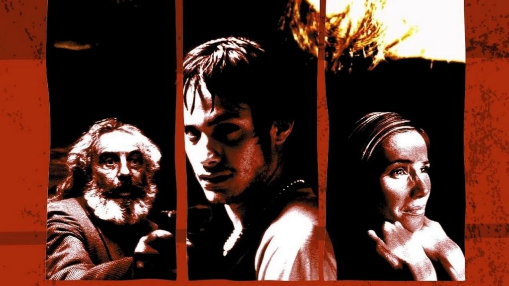 Amores Perros Top 20 Foreign Movies
