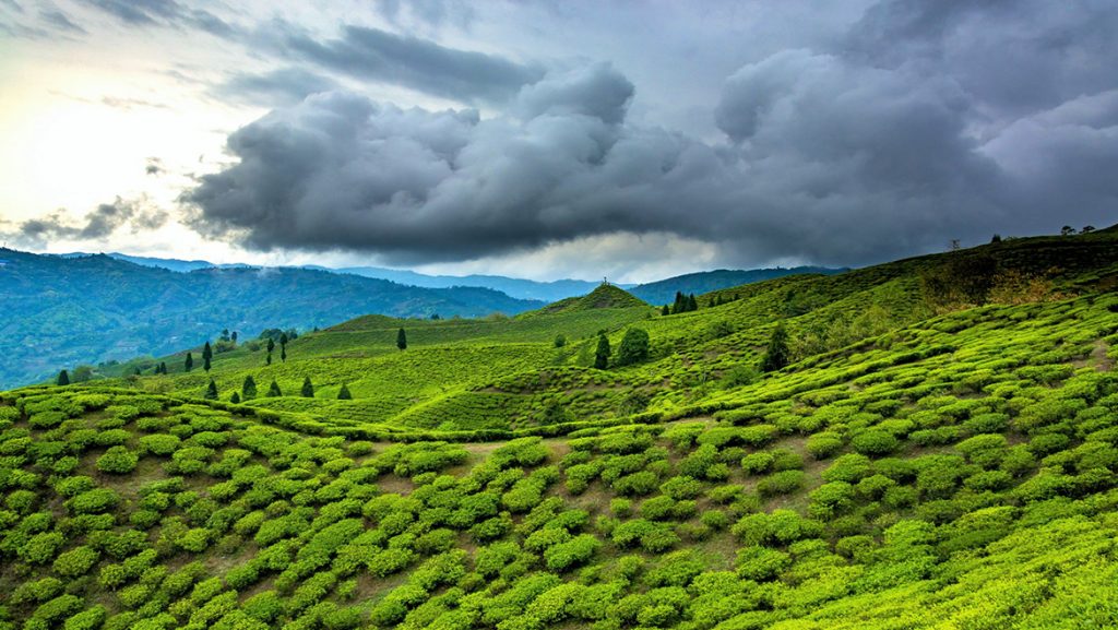 Assam and Meghalaya - Top 10 Holiday Destinations in India